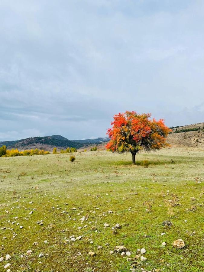 Alojamiento Rural Los Hacheros Tragacete Exterior foto